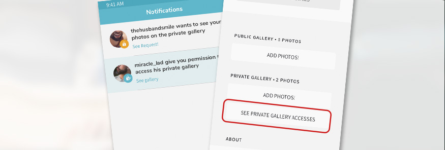 How to manage requests and access to the Private Gallery