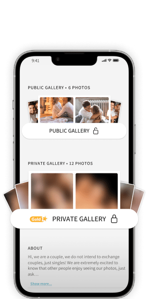 Private and Public Galleries